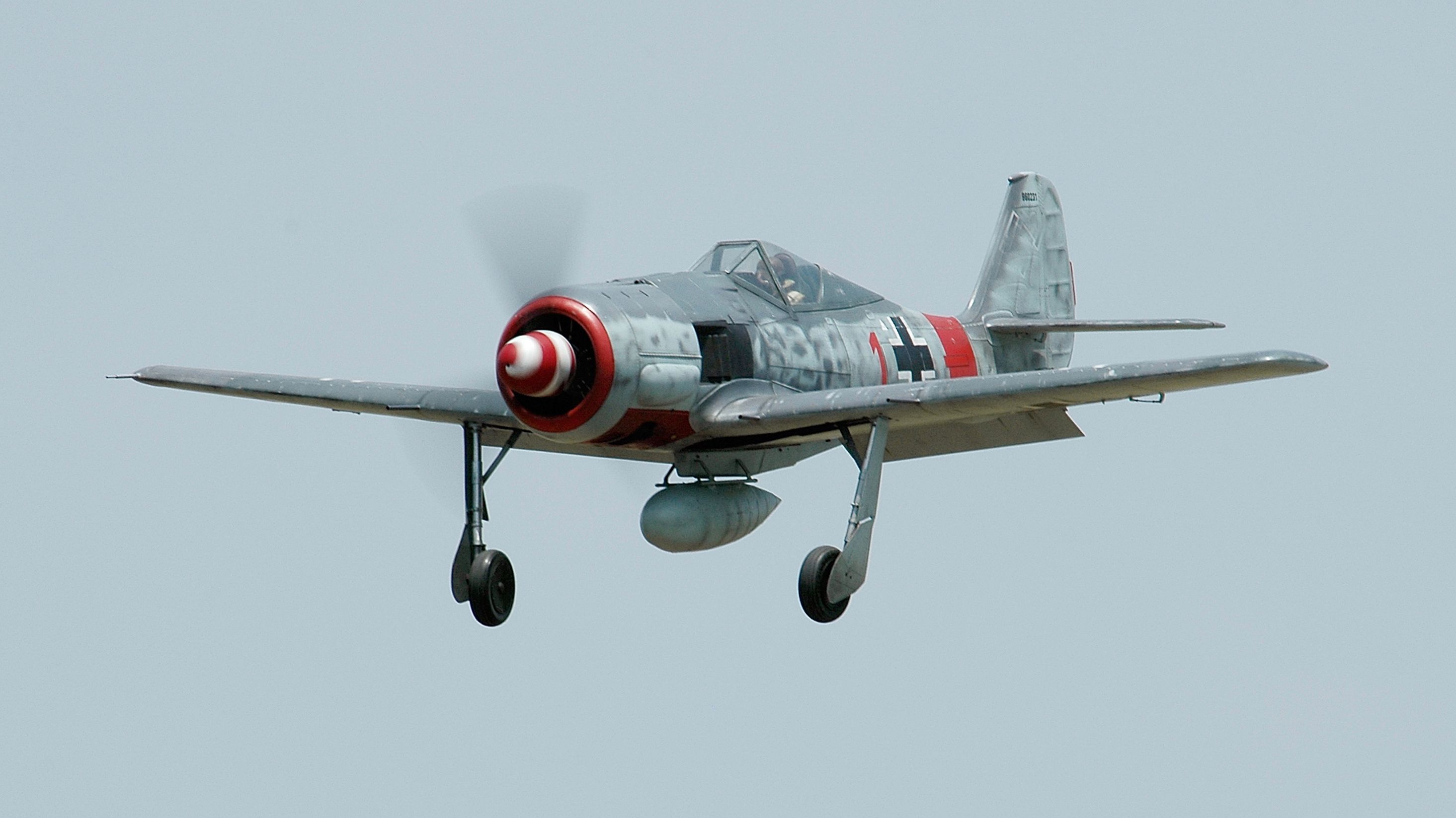 Focke-Wulf Fw 190 Scale 1:4