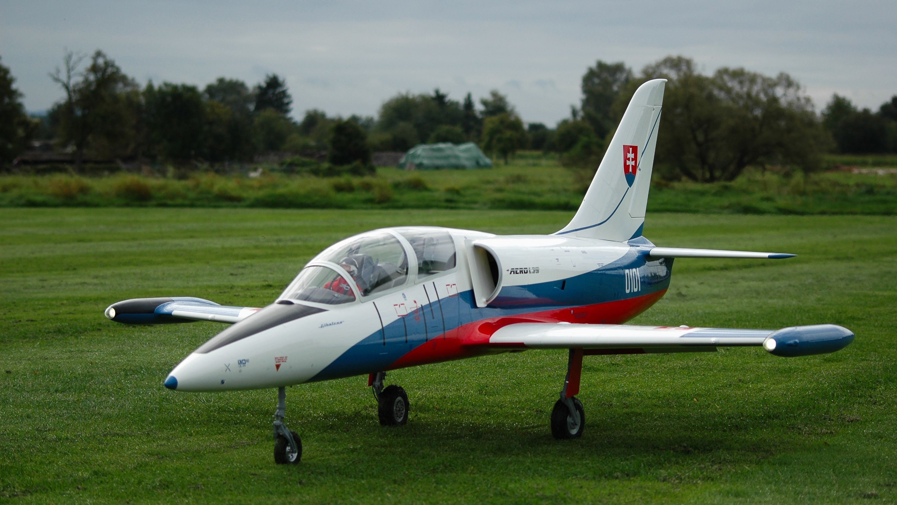 Albatros L-39 Scale 1:4,3